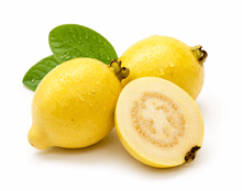 500g Fresh Guava from Egypt
