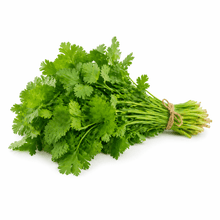 Fresh Coriander Bunch