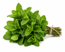 Fresh Mint Bunch